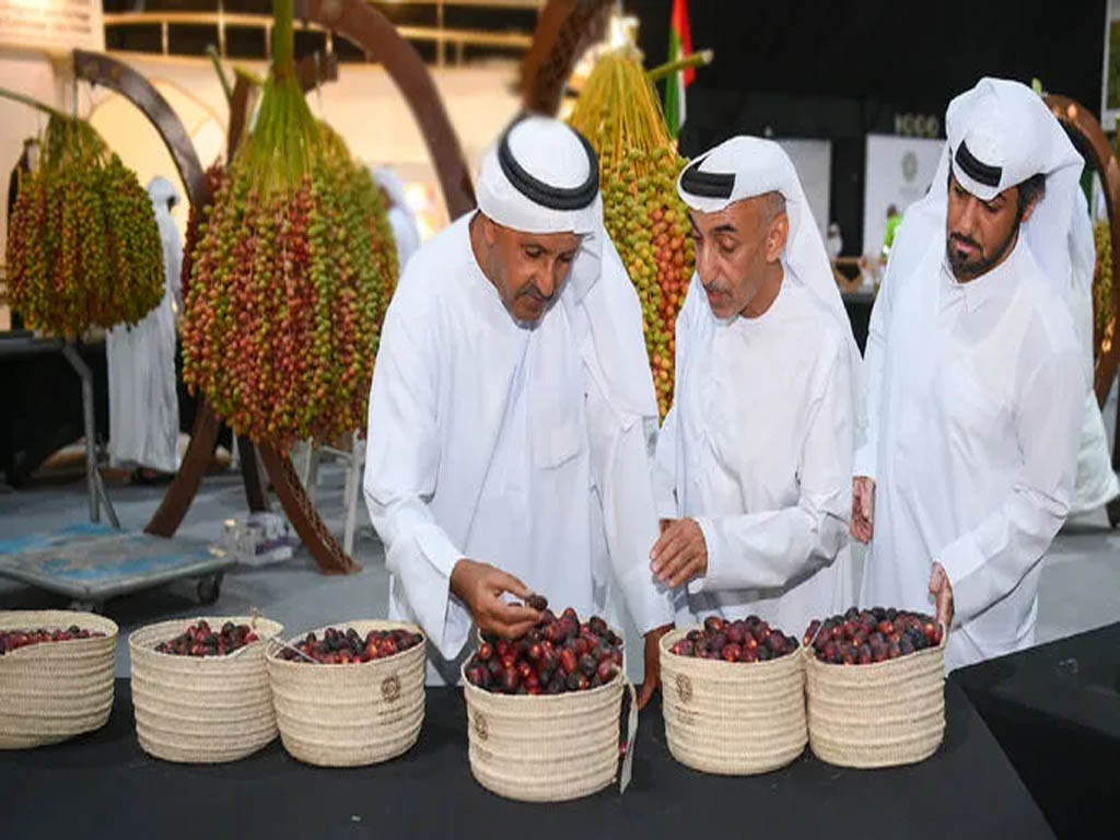 Liwa Date Festival to celebrate Emirati culture