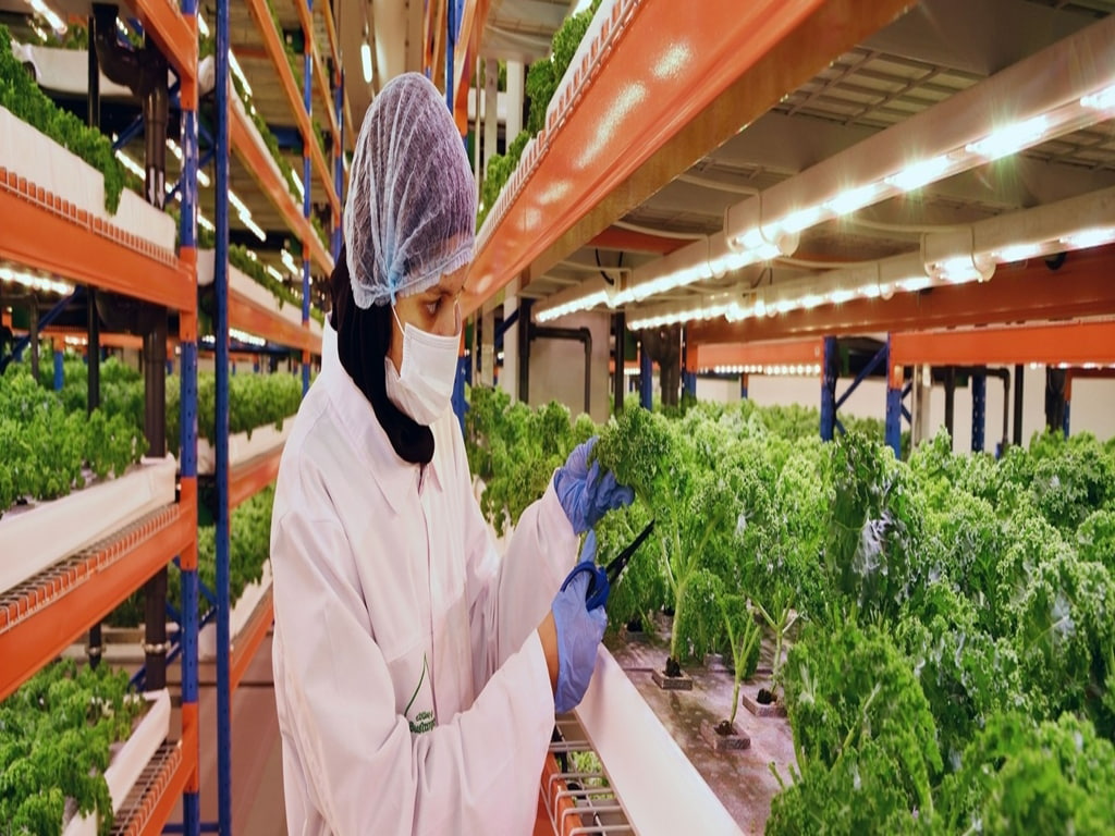 Informatica, Emirates Flight Catering partner...