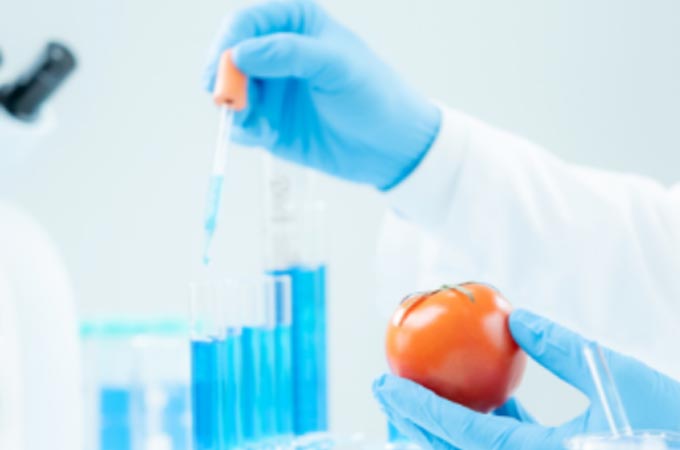 Saudi Arabia seeks EOI for Municipal Food Safety...