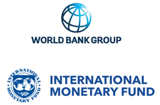 UAE wins right to host 2029 meetings of World...