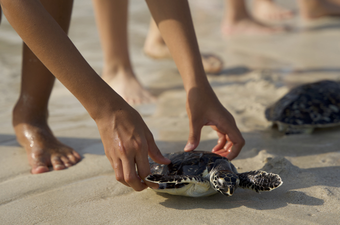 Jumeirah marks Earth Day 2026 with sustainability...