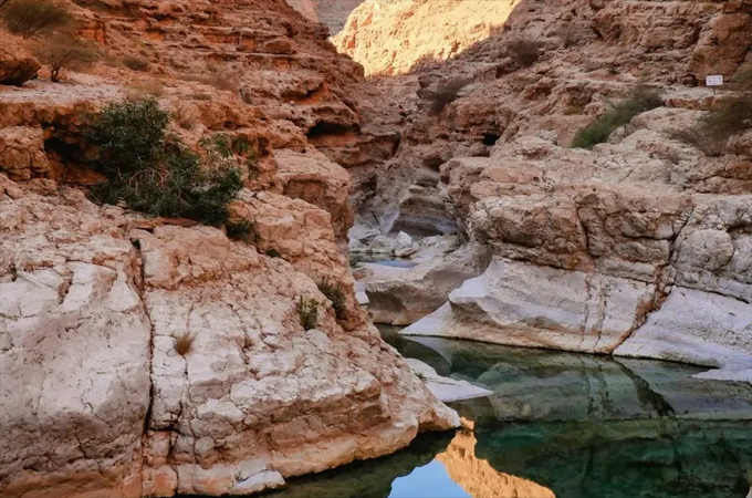 Oman Travel Hub launches to promote tourism,...